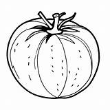 Simple tomato coloring page Lulu Pages sketch template