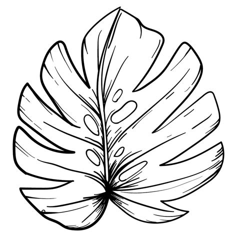 Leaf Tracers - 6 Free PDF Printables | Printablee