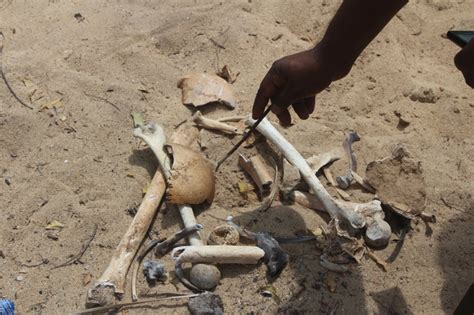 Skeletal remains found in Batticaloa | Tamil Guardian