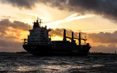 Livestock ship with 6000 cattle 43 crew said to have sank in stormy seas of Japan