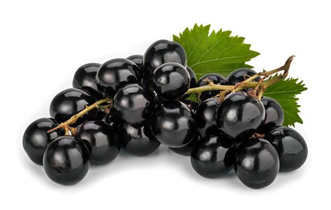 MUSCAT GRAPES | Fresh Tech Produce