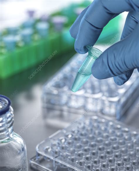 Pharmaceutical research - Stock Image - F036/4558 - Science Photo Library