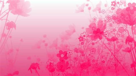 Pink Abstract Wallpapers Images Photos Pictures Backgrounds