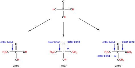 IUPAC 명명법 : 네이버 블로그