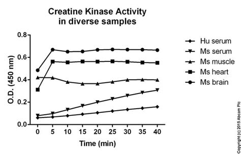 Creatine Kinase Activity Assay Kit (Colorimetric) (ab155901) | Abcam