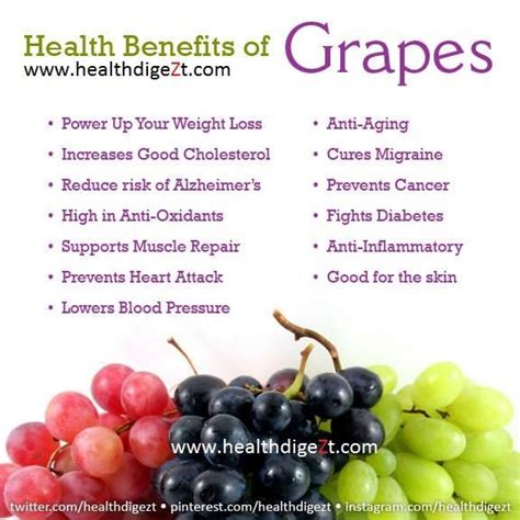 Health Benefits Of Grapes | Trusper