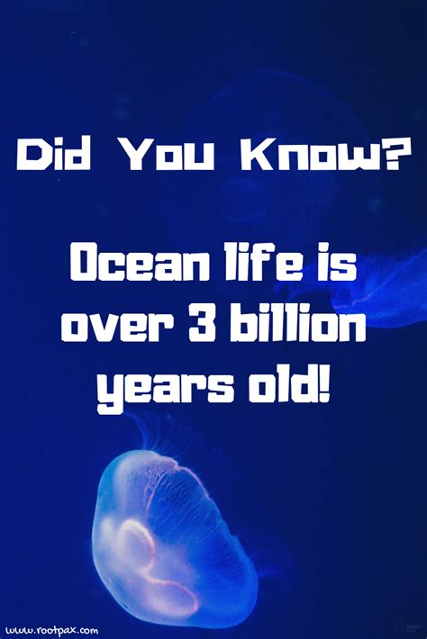 Ocean Fun Facts | Interesting facts about world, Fun facts, Wtf fun facts