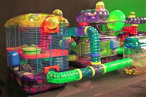 Cool hamster cages with tubes and stuff : nostalgia