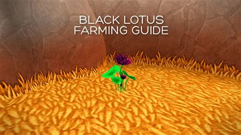 Comprehensive Black Lotus Farming Guide