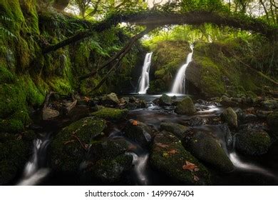 Amazing Waterfall Hidden Deep Forest Surrounded Stock Photo 1499967404 ...