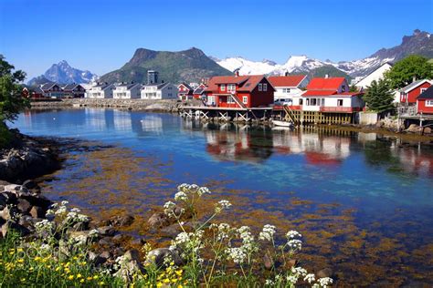 Popular on 500px : Early Summer in the Lofoten Islands by seeonesoul | Lofoten, Lofoten islands ...