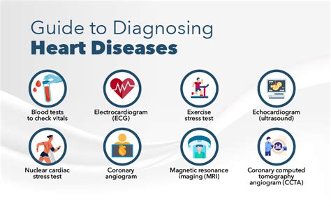 Know Everything About Cardiac Health and Checkup