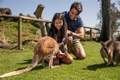 Oakvale Wildlife Park in Salt Ash, Port Stephens, NSW: Why visit?