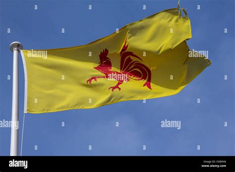 Wallonia Flag High Resolution Stock Photography and Images - Alamy