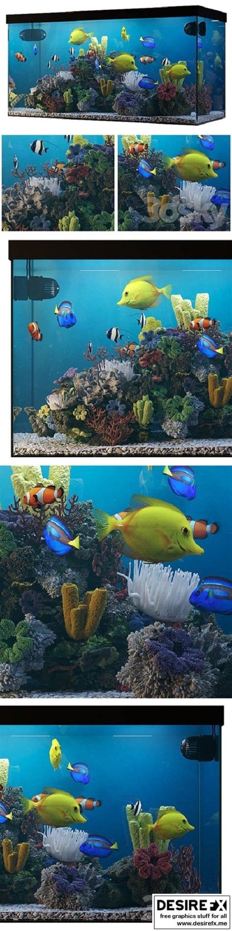 Desire FX 3d models | Seawater Aquarium – 3D Model