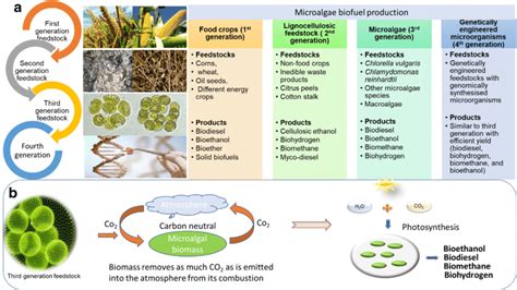 How Do Biofuels Work - Engineering's Advice