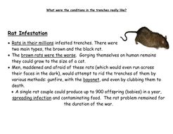 Conditions in the Trenches | Teaching Resources