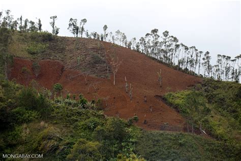 Slash and burn deforestation of Madagascar's rainforest