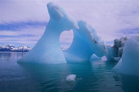 The Effect Global Warming Has on Icebergs | Education - Seattle PI