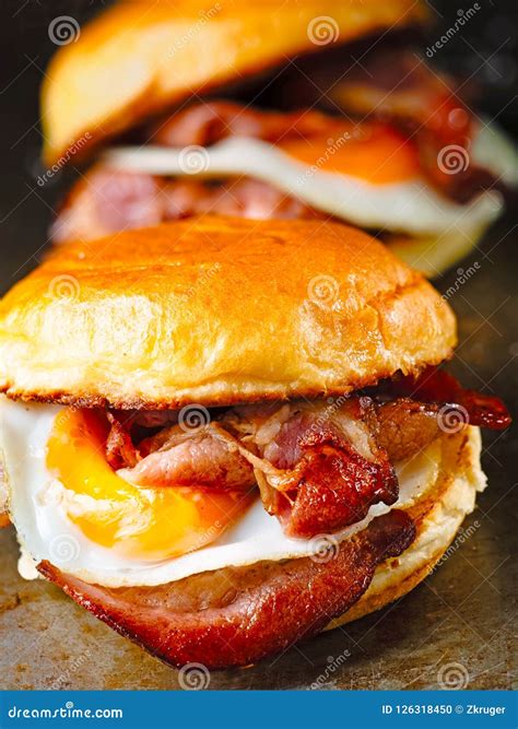 Rustic Bacon Egg Breakfast Sandwich Bun Stock Photo - Image of cooked, cholesterol: 126318450