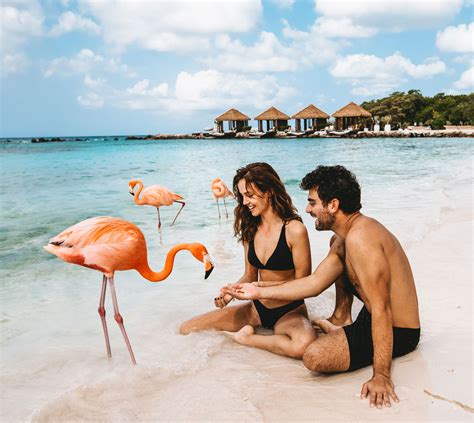 Flamingo Beach Aruba – Is It Really Worth It? – Stay Close Travel Far