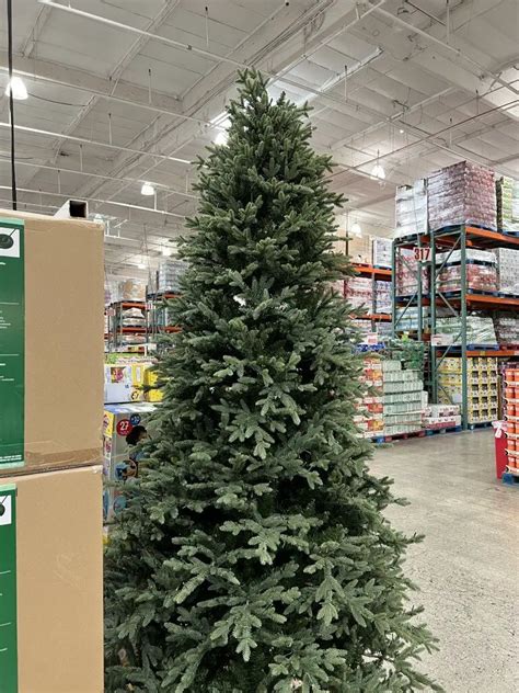 Costco Christmas Trees, 7.5' and 9' Micro-LED, 2022