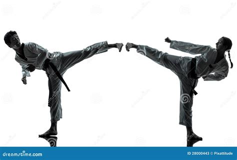 Karate Taekwondo Martial Arts Man Woman Silhouette Stock Image - Image of shadow, exercise: 28000443