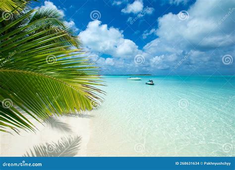 Tropical Beach in Maldives with Few Palm Trees Stock Photo - Image of green, beautiful: 268631634