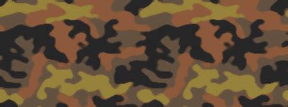 Fall Camouflage - The Call of Duty Wiki - Black Ops II, Ghosts, and more!