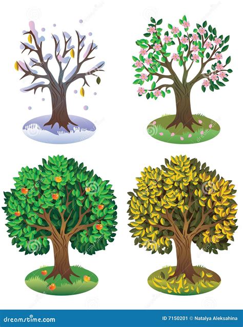 Seasons Tree Stock Image - Image: 7150201