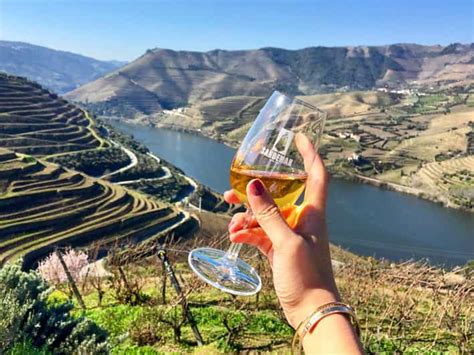 Full-Day Douro Wine Tour with Lunch and River Cruise | GetYourGuide