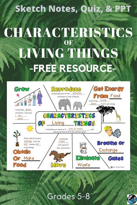 Characteristics of Living Things Notes, Quiz, & PPT | Characteristics ...