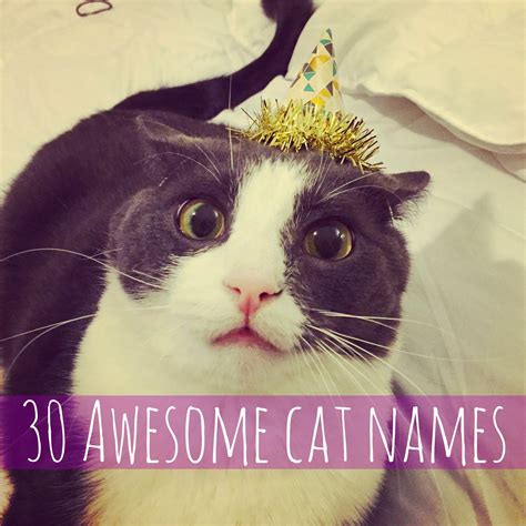 Avoiding Atrophy: 30 Awesome Cat Names