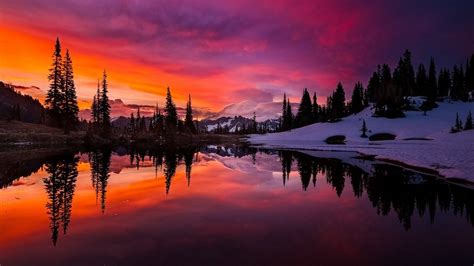 Beautiful River Between Green Trees And Snow Covered Land Under Orange Pink Clouds Sky ...