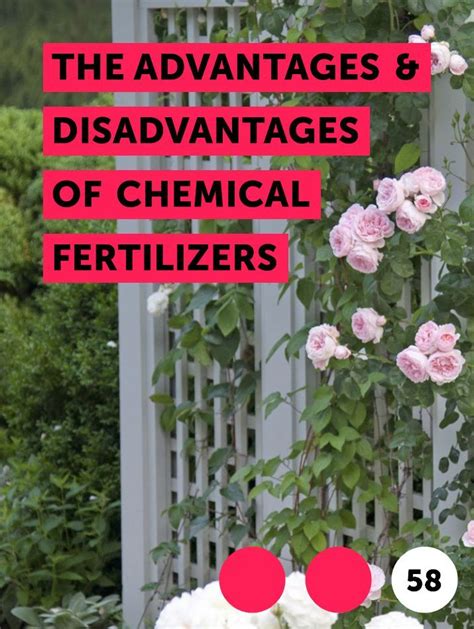 Learn The Advantages & Disadvantages of Chemical Fertilizers | How to guides, tips and tricks ...