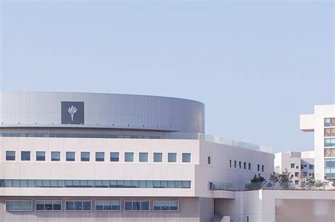 Faculty - NYU Abu Dhabi