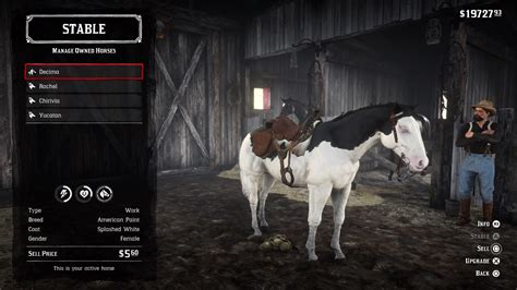 The Rarest Horse in the Game : r/RDR2