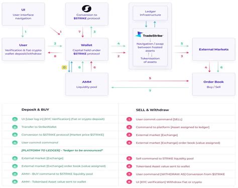 Understanding Tokenization | Bits n Coins