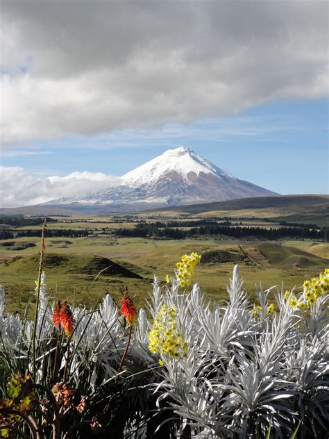 Tour to the Cotopaxi Volcano, Ecuador