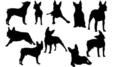 Boston terrier dog silhouette | Premium Vector