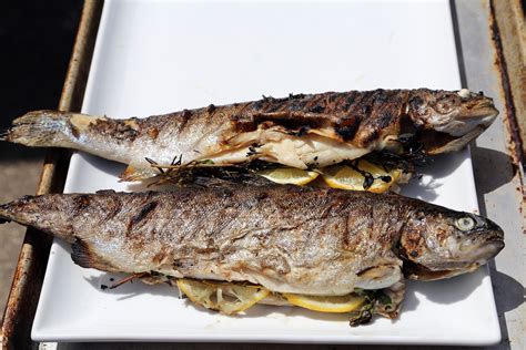 Grilled Rainbow Trout with Lemon and Herbs