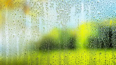 The Impact of High Humidity on Indoor Air Quality: How to Protect Your ...