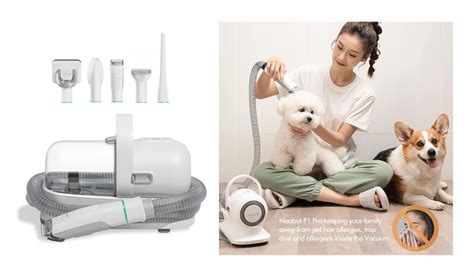 5 Best Pet Grooming Vacuum Kits for A Home Free Of Fur