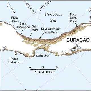 (PDF) Sea-level history of past interglacial periods from uranium-series dating of corals ...