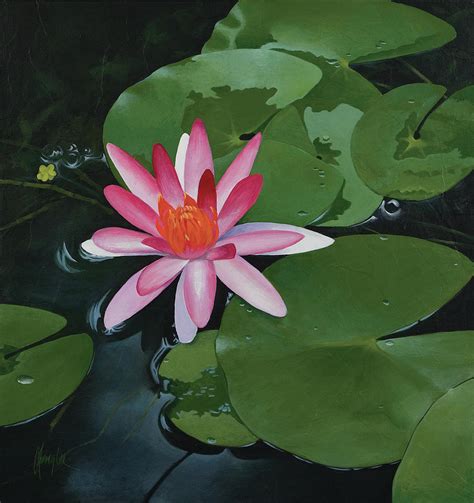 Lily-pad Bloom Painting by Gaylon Dingler