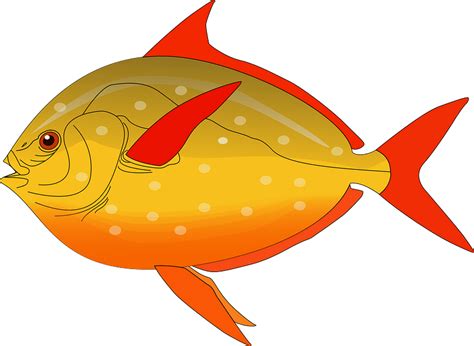 Yellow Fish with Red Fins and Tail clipart. Free download transparent .PNG | Creazilla