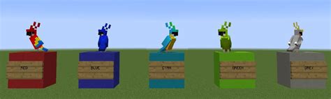 Minecraft Parrots | Wiki | Birds Amino Amino