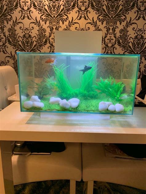 Fluval Edge aquarium 23l | in Newcastle-under-Lyme, Staffordshire | Gumtree