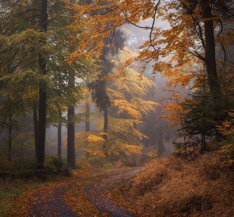 Thuringian Forest, Germany - Oct. 2016 • • • • • #marvelouz_world # ...