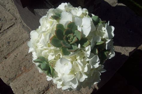 MARCY ANN'S BEACH WEDDING BLOG: bouquets & lapel flowers!